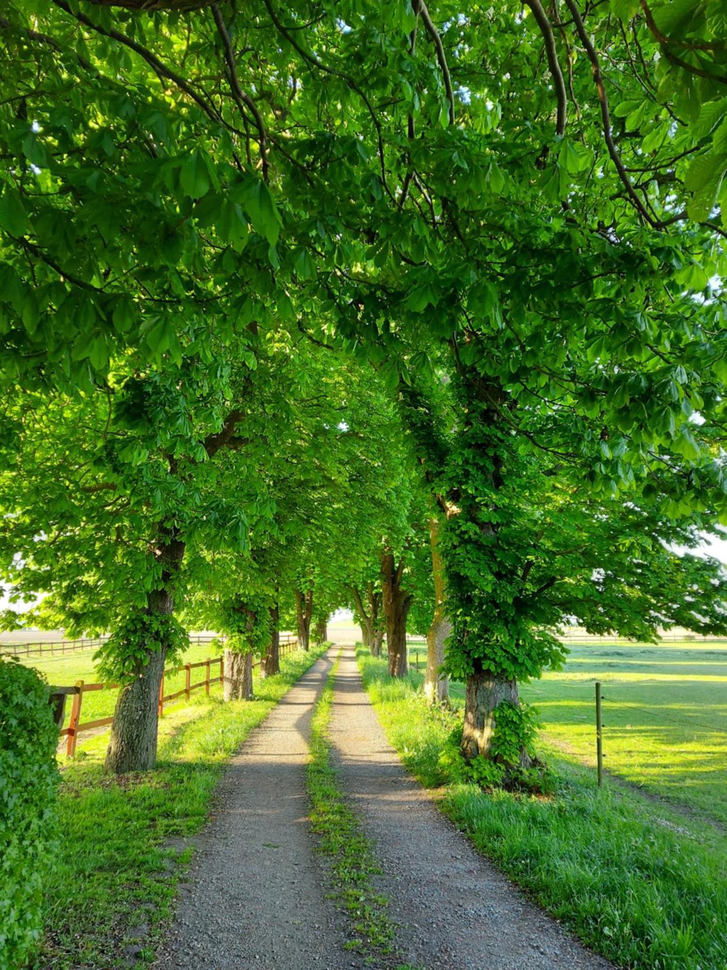 Lantligt Och Lugnt Boende Naera Natur Och Stad Svedala község Kültér fotó