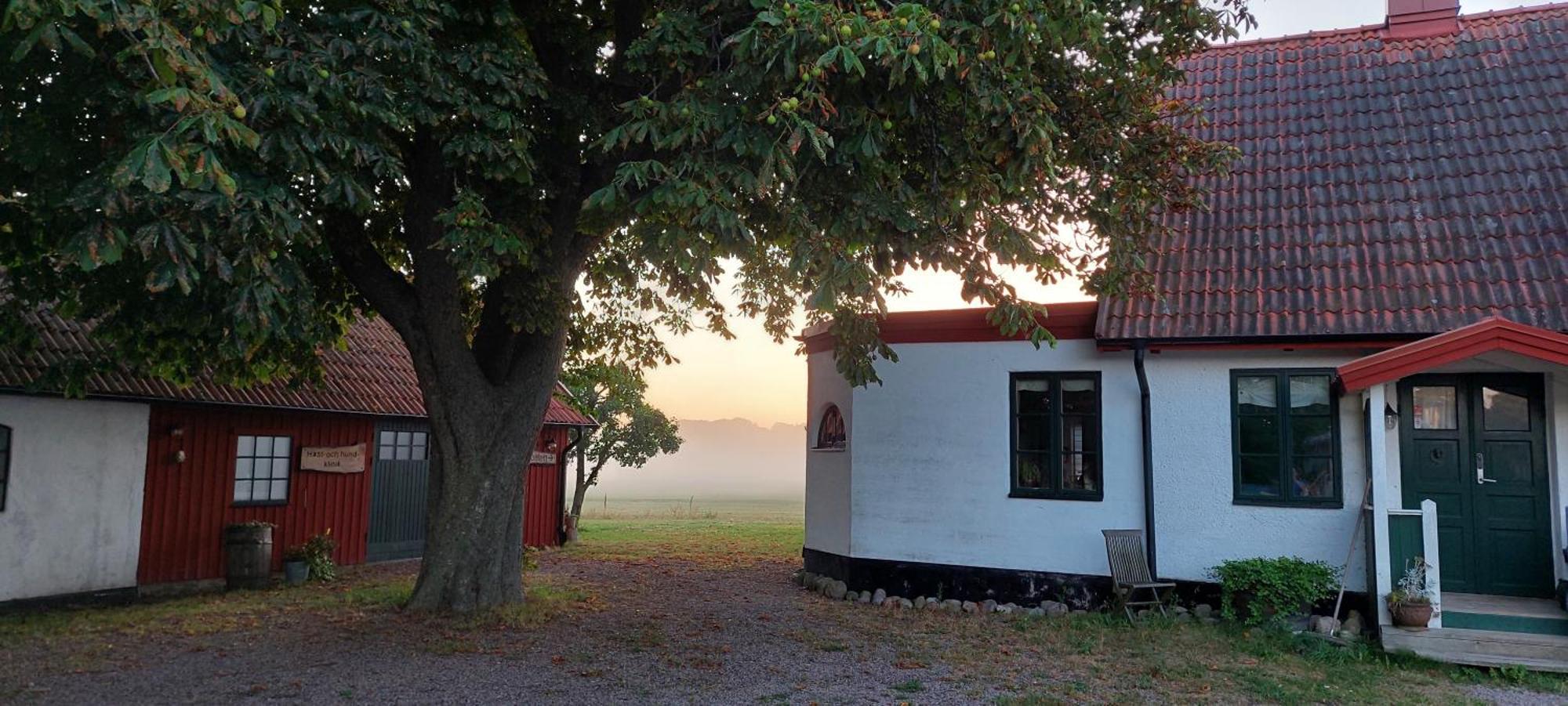 Lantligt Och Lugnt Boende Naera Natur Och Stad Svedala község Kültér fotó