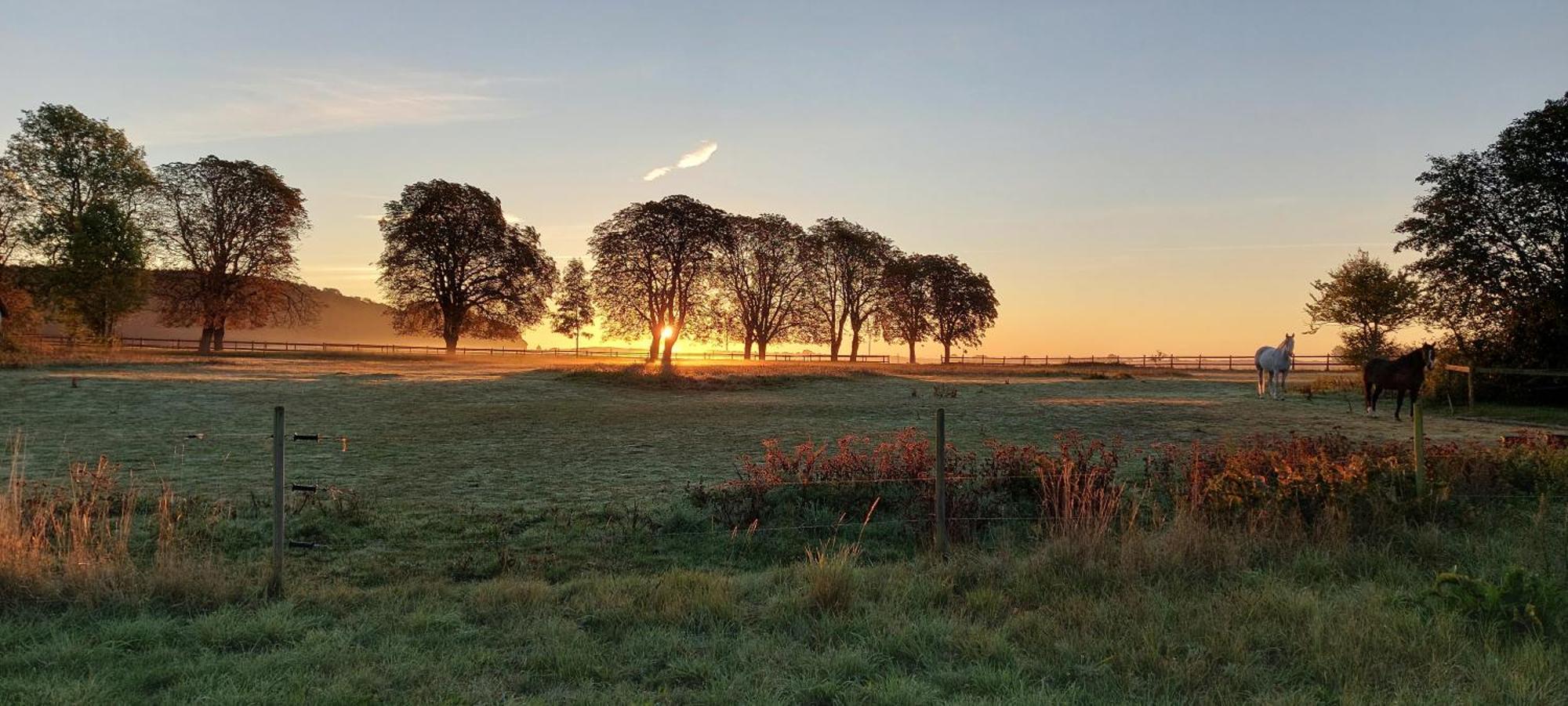 Lantligt Och Lugnt Boende Naera Natur Och Stad Svedala község Kültér fotó