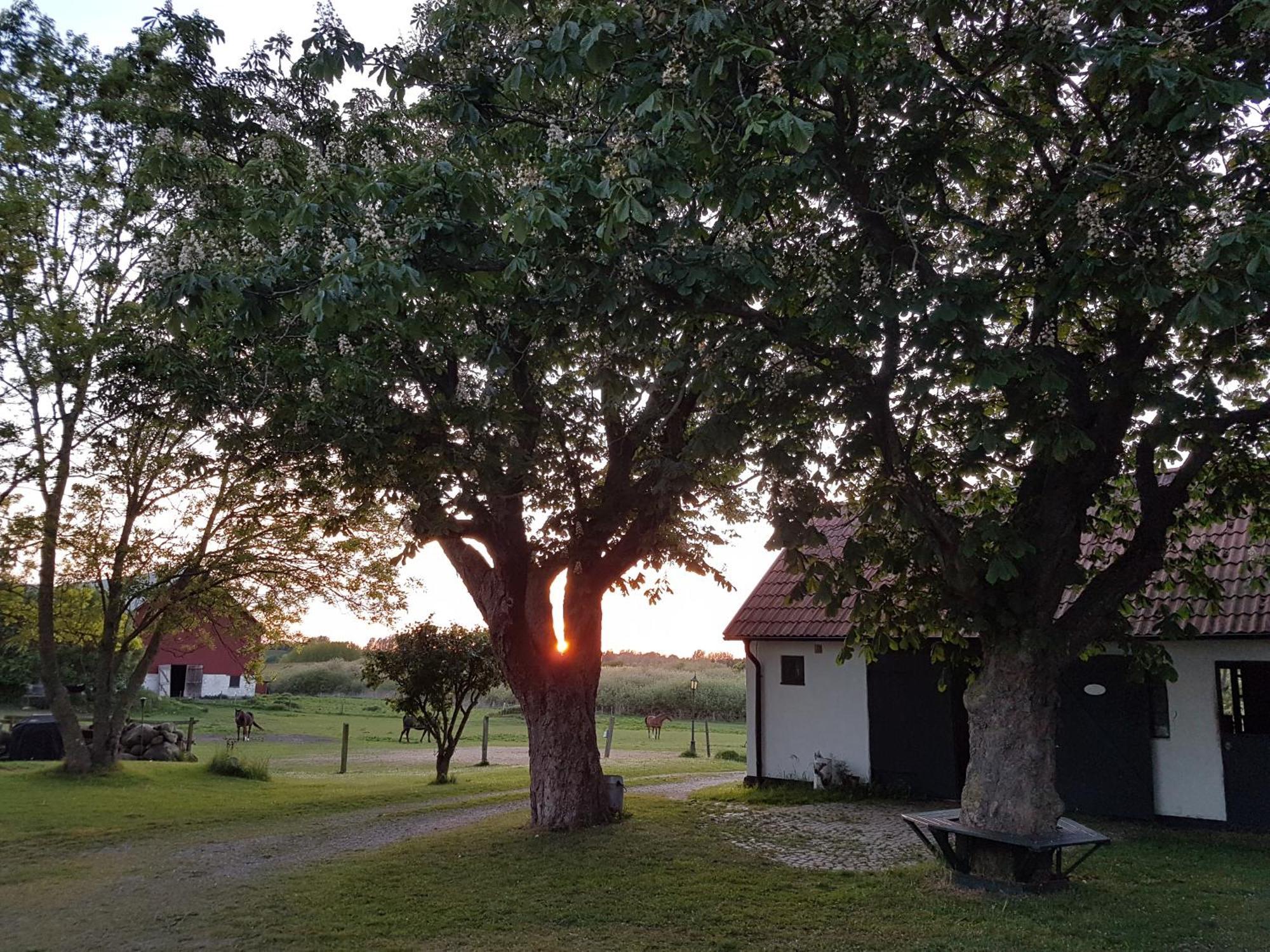 Lantligt Och Lugnt Boende Naera Natur Och Stad Svedala község Kültér fotó