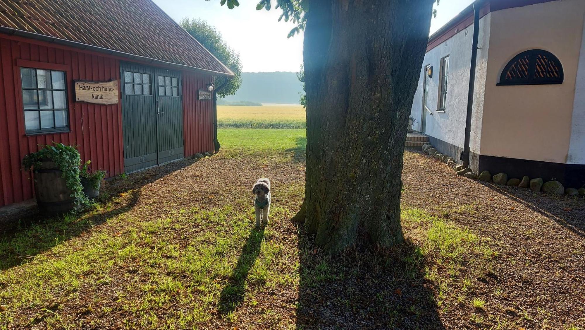 Lantligt Och Lugnt Boende Naera Natur Och Stad Svedala község Kültér fotó