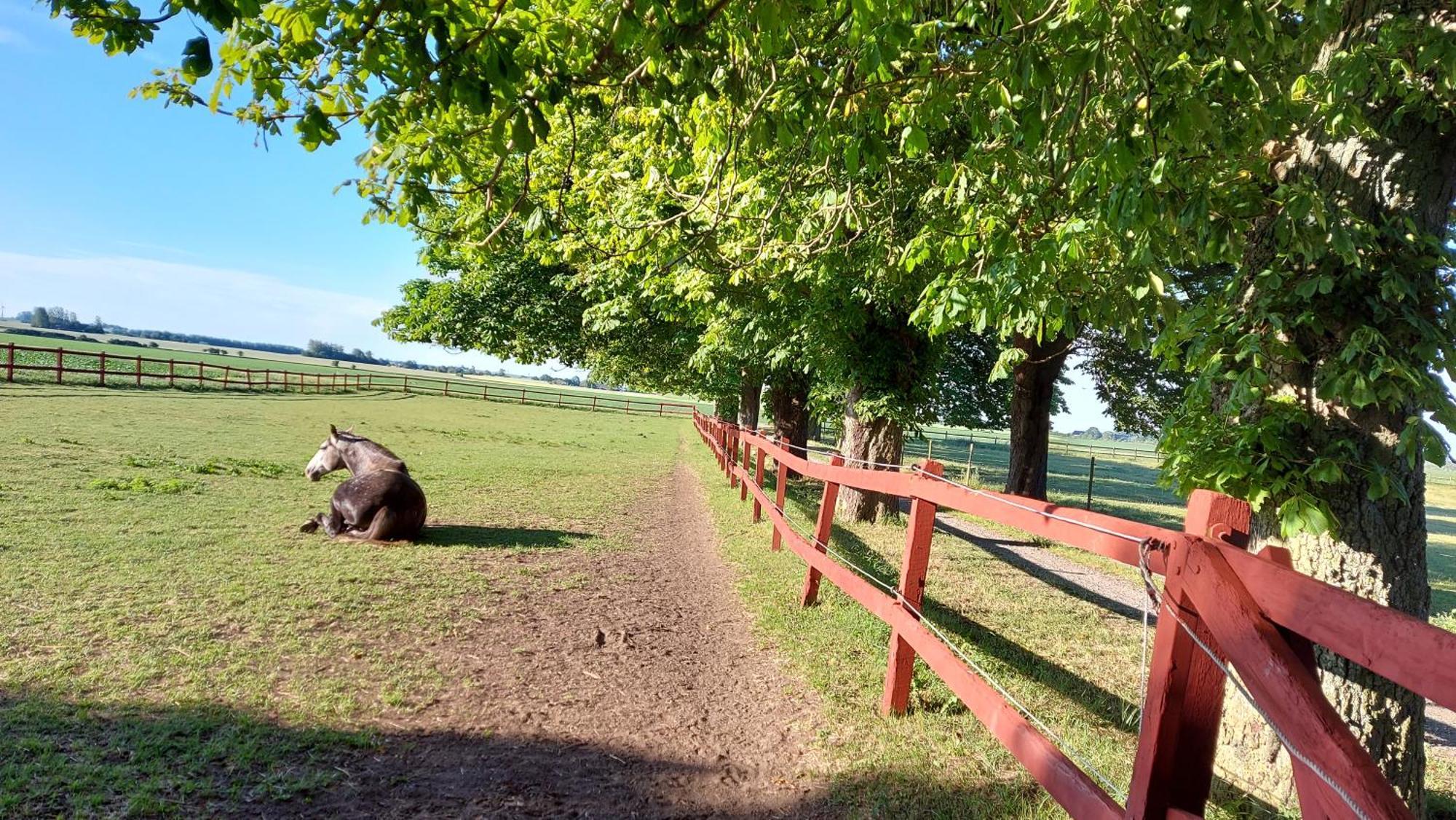 Lantligt Och Lugnt Boende Naera Natur Och Stad Svedala község Kültér fotó