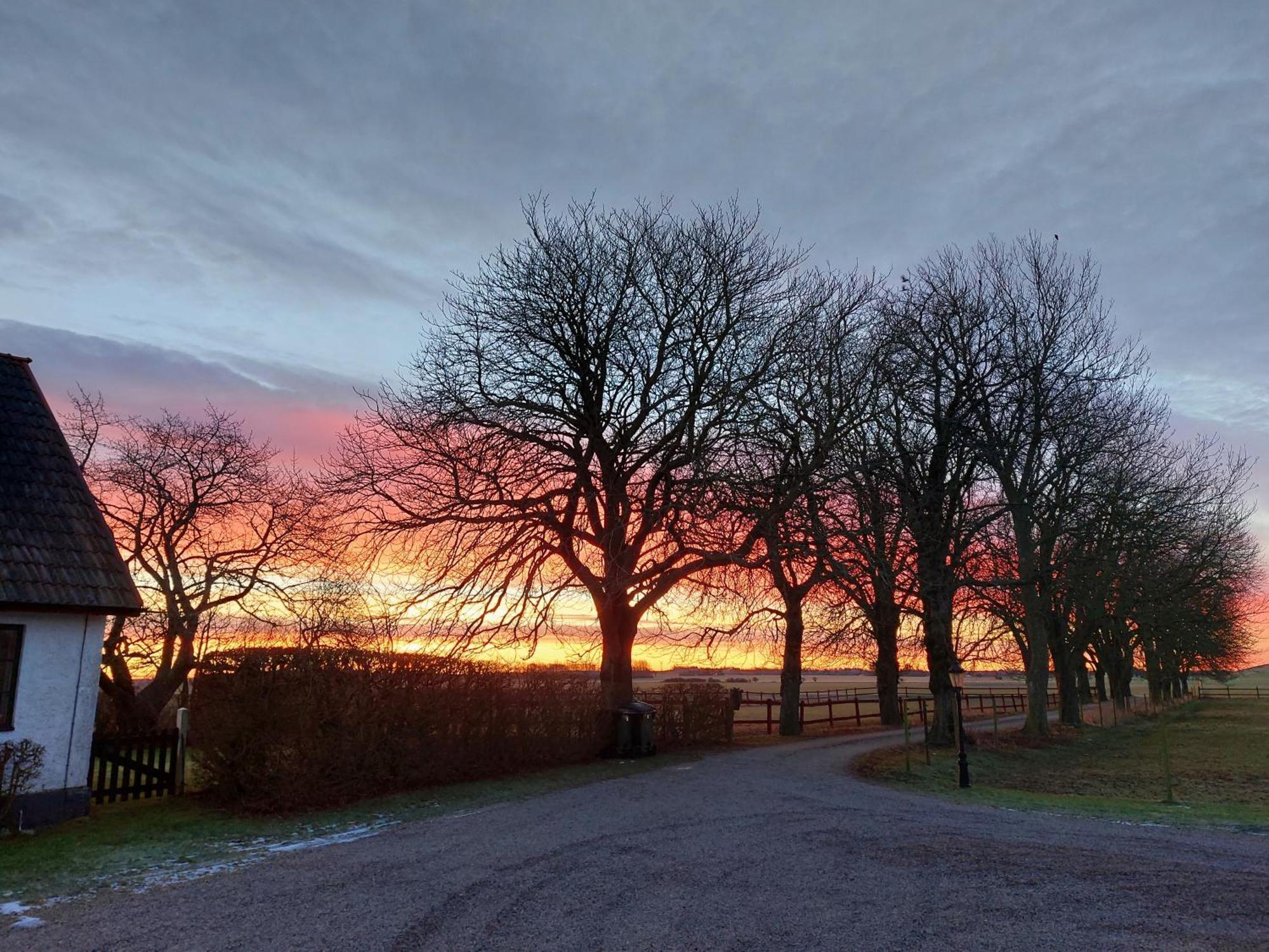 Lantligt Och Lugnt Boende Naera Natur Och Stad Svedala község Kültér fotó