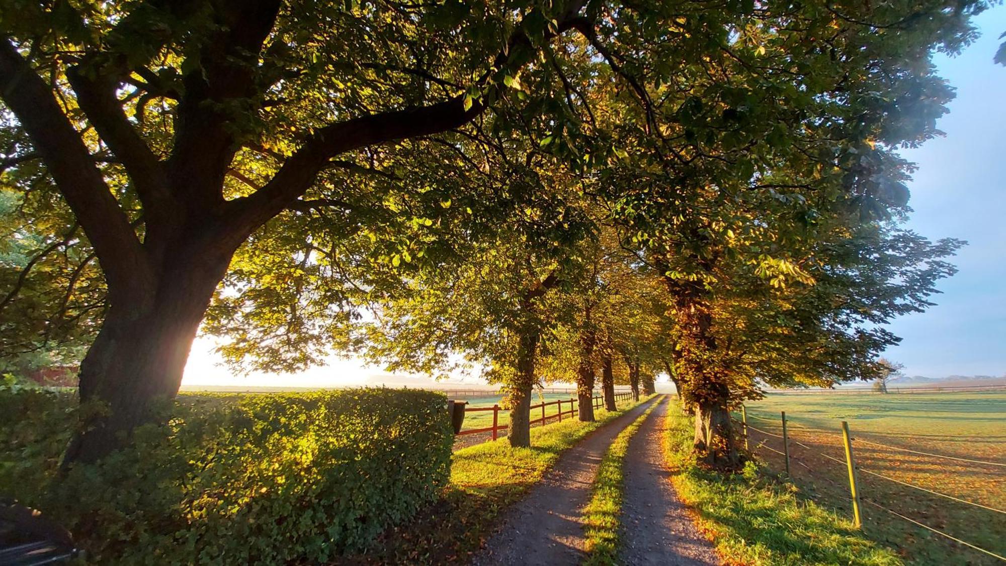 Lantligt Och Lugnt Boende Naera Natur Och Stad Svedala község Kültér fotó